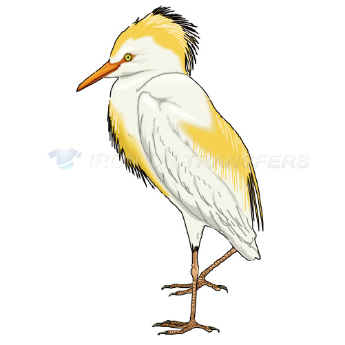 Birds Iron-on Stickers (Heat Transfers)NO.2138